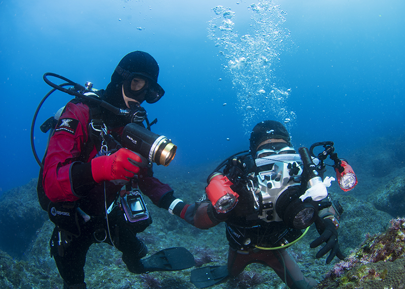 フォトアシスト